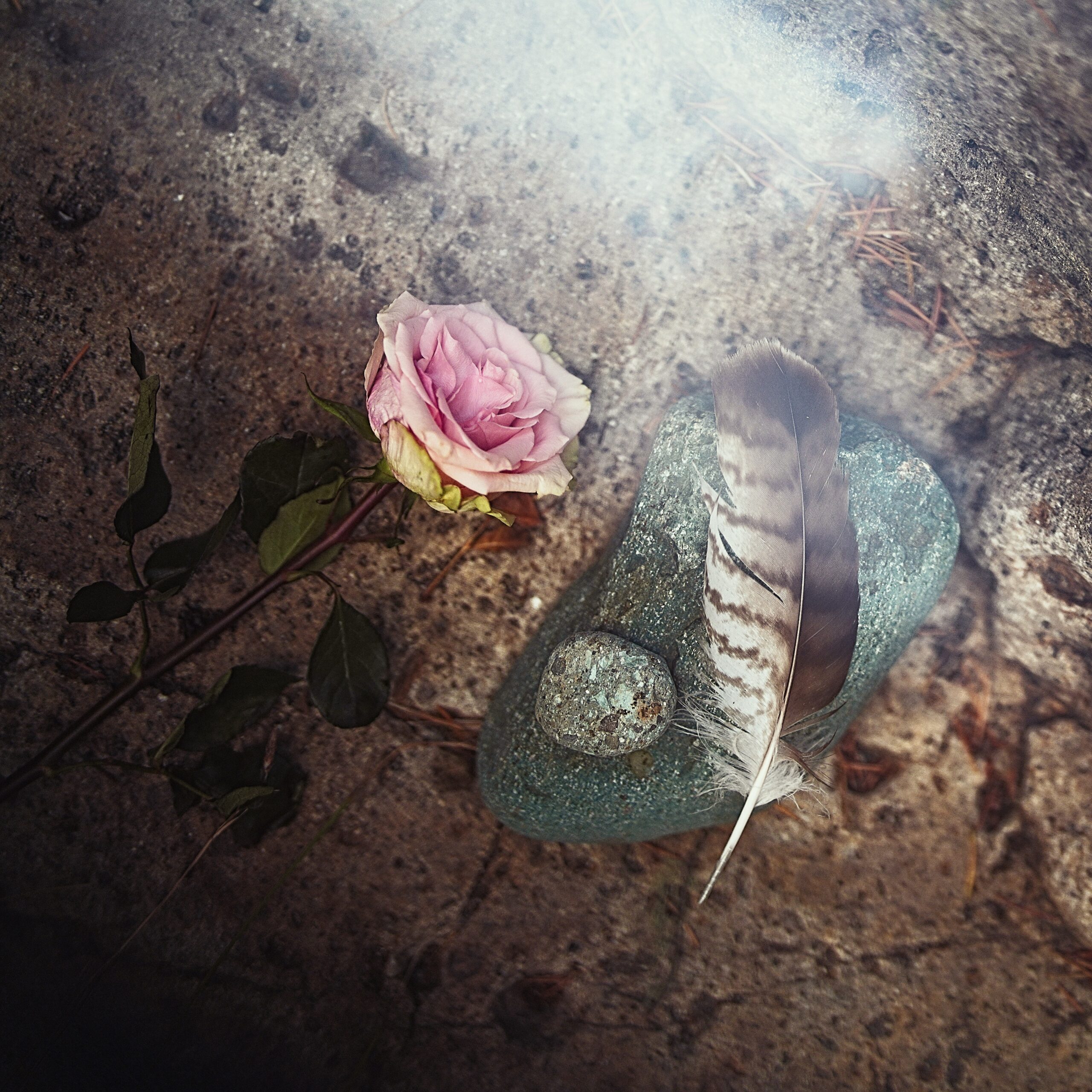 DSC05071_sq Protection, Spirit Guides, Altar